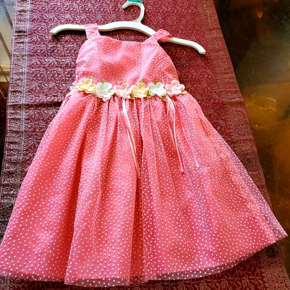 Rare Editions 4T Pink Tulle Dress Girls